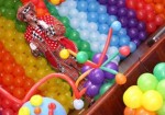 animacao-de-festa-barueri-1452555776