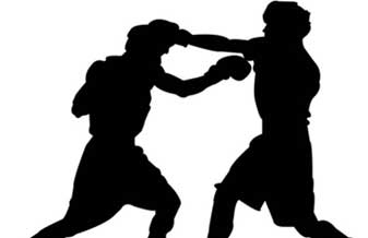 Chute Boxe - Foto 1