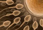 clinicas-de-fertilizacao-humana-barueri-1452607739