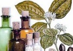 farmacias-de-homeopatia-barueri-1452611659