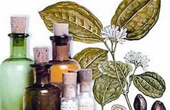 Herbes Naturelles - Foto 1