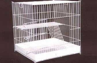 Pet Shop Gerações - Foto 1