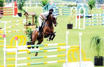 Hípica Manege Alfhaville - Foto 1