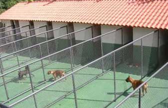 Hotel Para Cães E Gatos - Foto 1