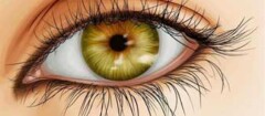 iridologia-barueri-1452617214