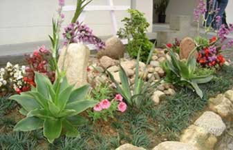 Valpeza Jardinagem - Foto 1