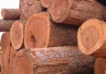 madeiras-e-madeireiras-barueri-1452214620