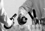 organizacao-de-eventos-barueri-1452558073