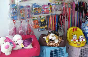 Pet Shop Quero Quero - Foto 1