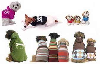 Amore Animalle Pet Shop - Foto 1