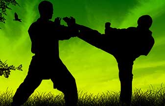 Cho Tae Kwon Do Center Clube - Foto 1