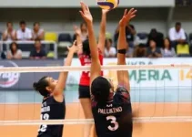 Superliga Feminina de Vôlei