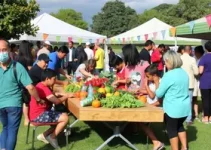 Etapa de Barueri de outubro – LIVE! RUN XP 2026 – com cupom de desconto