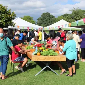 Etapa de Barueri de outubro – LIVE! RUN XP 2026 – com cupom de desconto