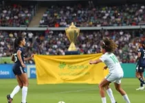 violência contra as mulheres