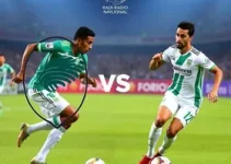 Palmeiras e Fluminense