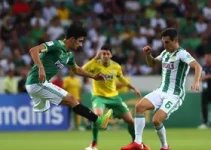 Palmeiras goleia Capivariano