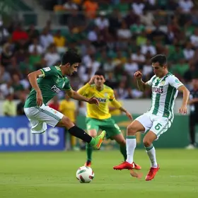 Palmeiras goleia Capivariano