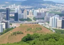 Estágio Barueri Osasco SP