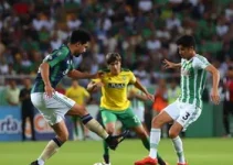 Novorizontino Palmeiras Final Paulistão