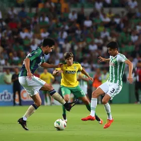 Novorizontino Palmeiras Final Paulistão