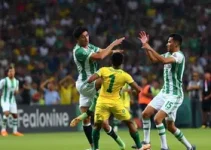 Palmeiras campeonato paulista