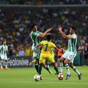 Palmeiras campeonato paulista