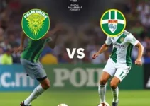 transmissão de Palmeiras x Novorizontino
