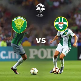 transmissão de Palmeiras x Novorizontino