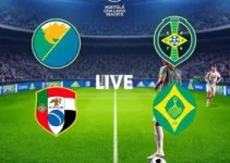 transmissão ao vivo de Palmeiras x Grêmio