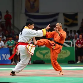 Copa Open de Kung-Fu