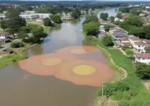 despoluição do Córrego Fazenda
