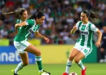 Palmeiras no Derby