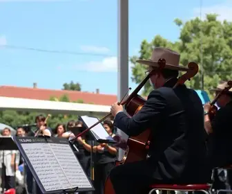 Orquestra em Cena